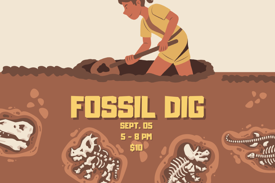 Archeologist digging for fossils