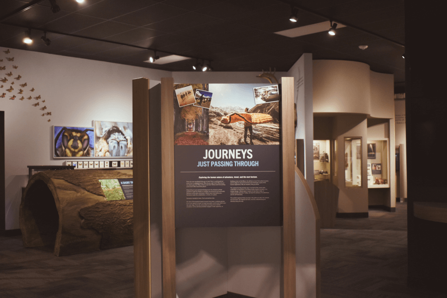 A wide shot of the Journey's exhibit