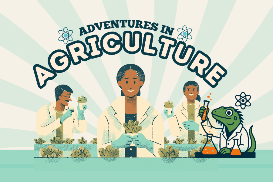 Women planting plants