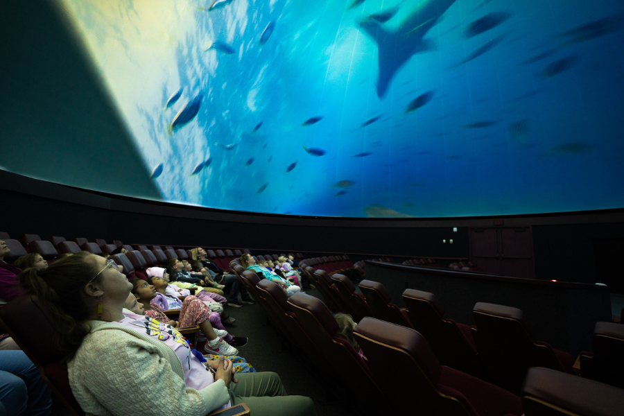 Class of students looking up at a giant screen