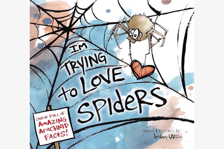 Spider web with a spider in the corner