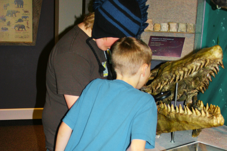 Two boys looking at fossilized teeth