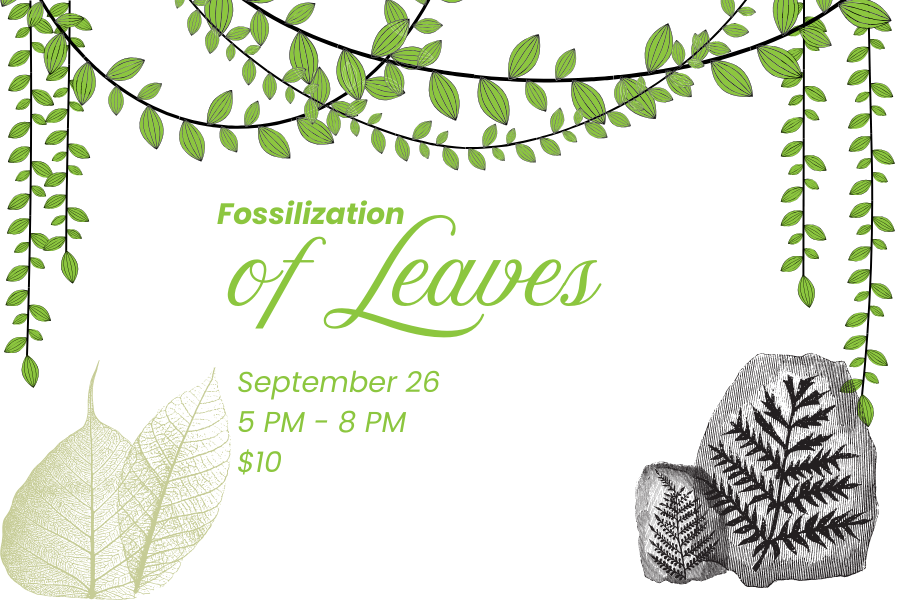 Green Leaves over a white background