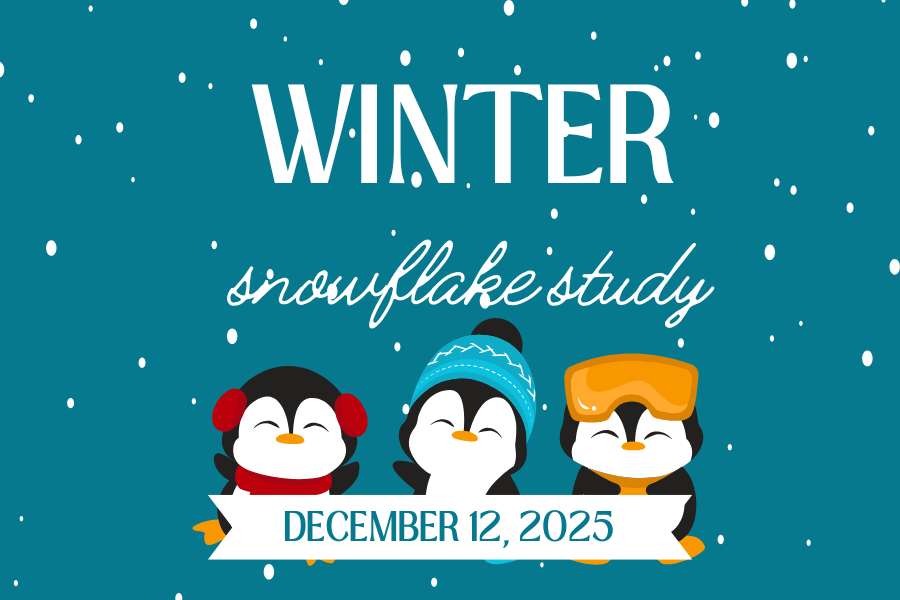 Three cartoon penguins  