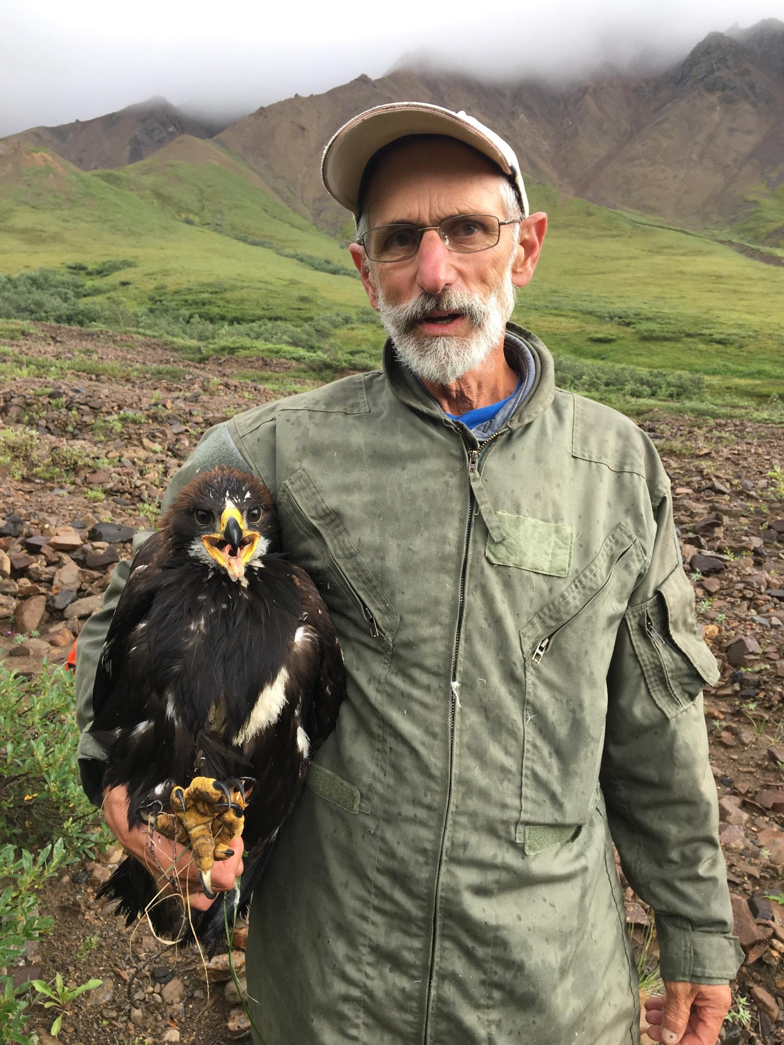 Sixty Years of Studying Golden Eagles in Southwestern Idaho: What Have We Learned?