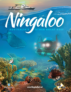 “Ningaloo: Australia's Other Great Reef”